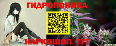 соль ск Пугачёв