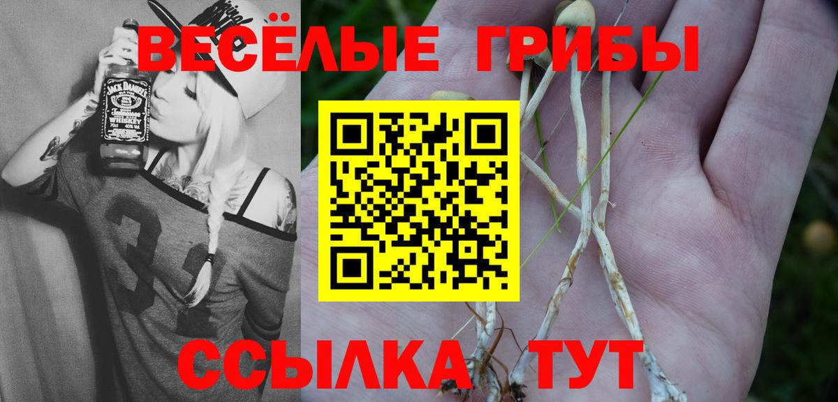 Псилоцибиновые грибы ЛСД Реутов
